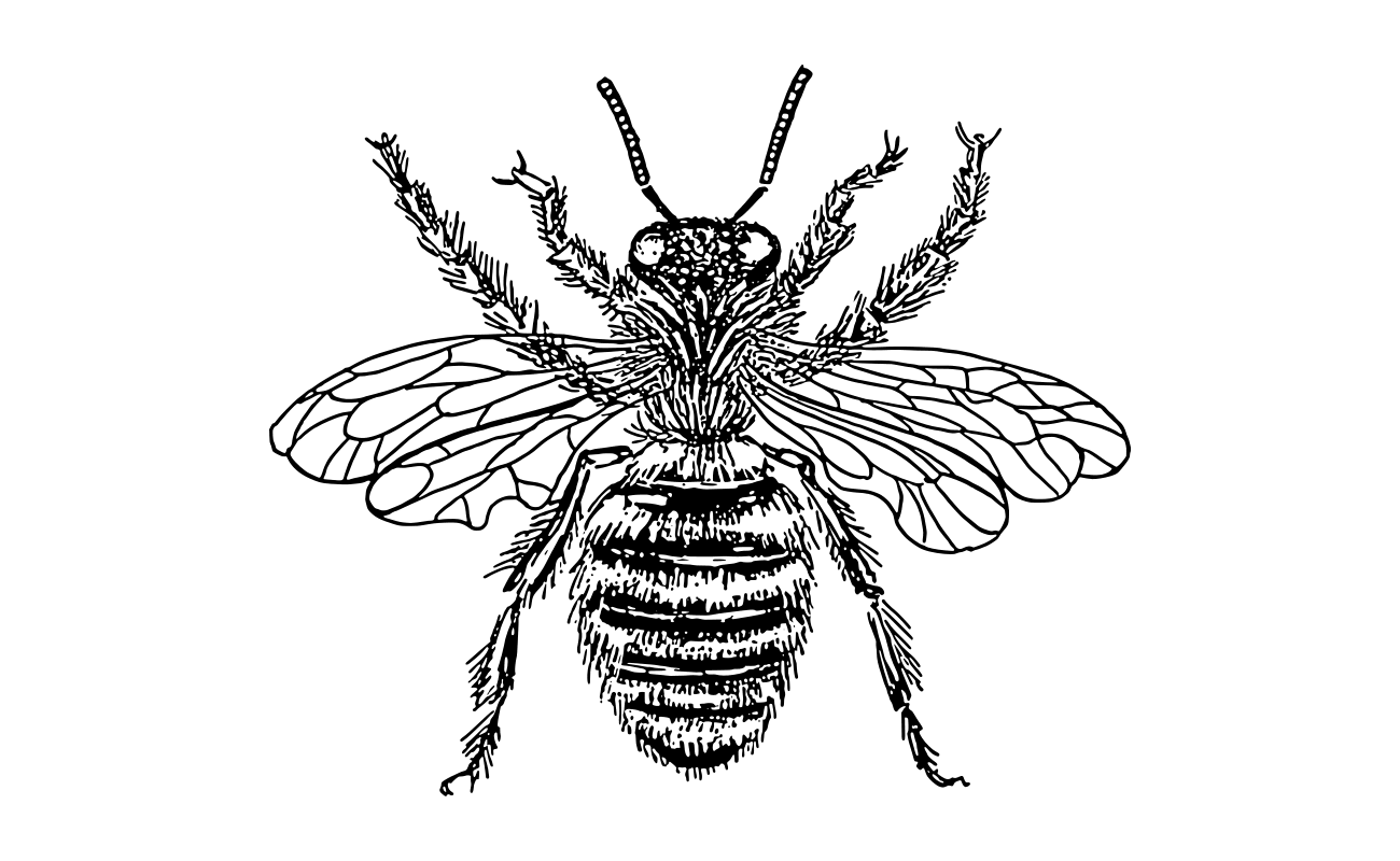 bee