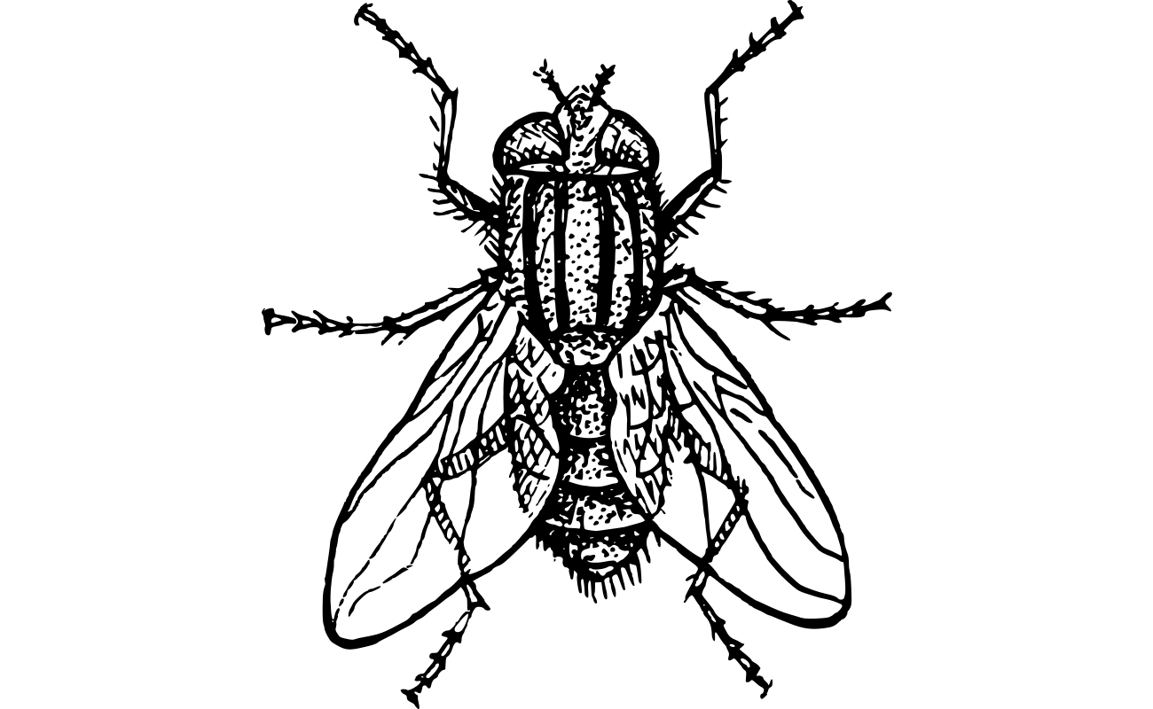 OMGBUG